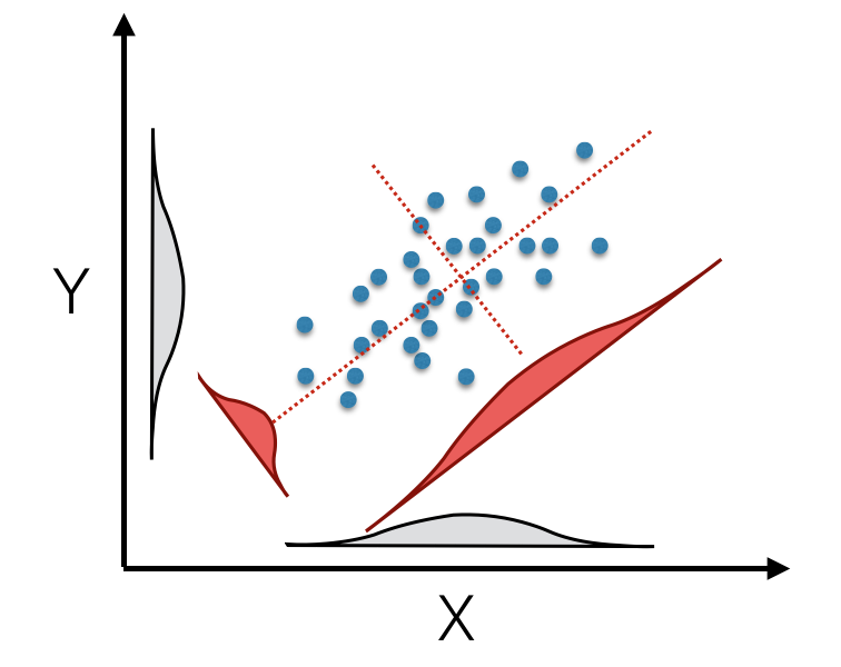 Principal component rotation of bivariate data mapped from original axes (black X- and Y- axes) onto new coordinate axes (dotted red) that maximize the variation on each of the new axes (displayed as density insets for original and tranlated axes).
